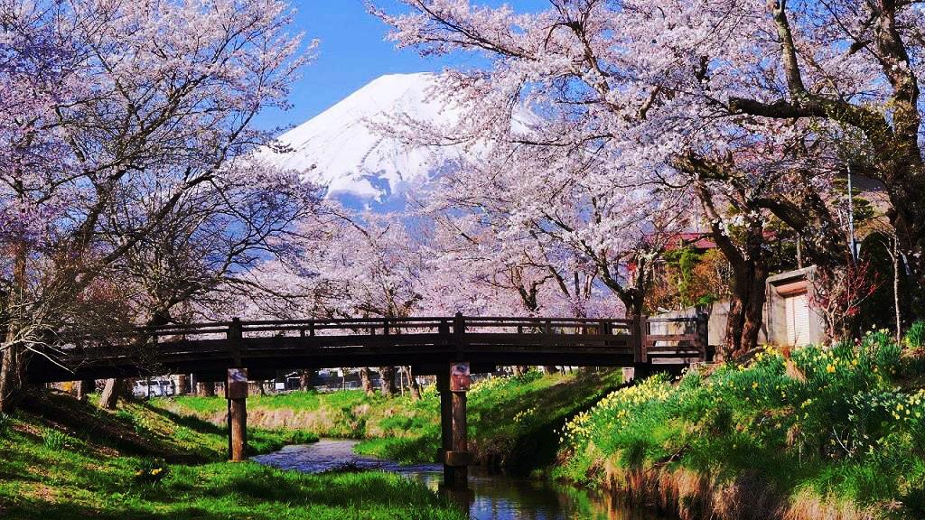 Làng cổ Oshino Hakkai