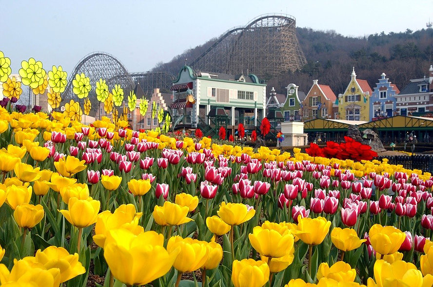 Seoul - Everland